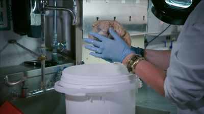 {\an1}The Harvard Brain Tissue
Resource Center - Mysteries of Mental Illness