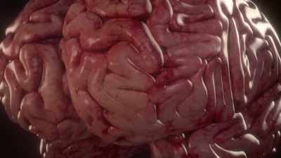 {\an1}The structures in the brain
regulate the heart - Human: The World Within