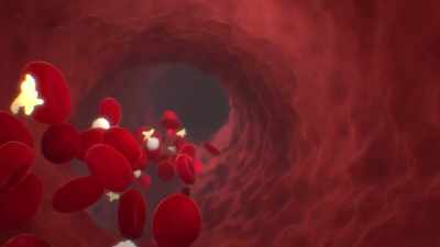 {\an1}-Their never-ending job
has given red blood cells - Human: The World Within