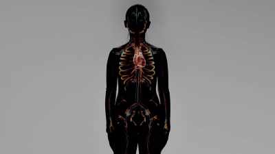 {\an1}-This group of neurons
reacts immediately - Human: The World Within