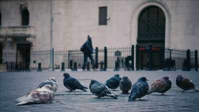{\an1}This is the case for other
mysterious disorders, as well. - Mysteries of Mental Illness