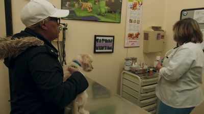 {\an1}We were going to give him
a kennel cough vaccine, - City Hall