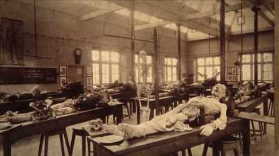 {\an1}When patients died, - Mysteries of Mental Illness