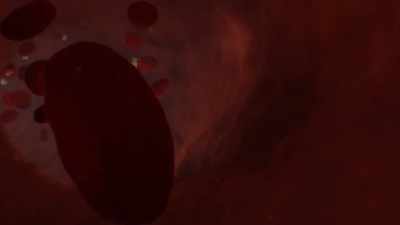 {\an1}-With some support,
the body begins to stabilize. - Human: The World Within
