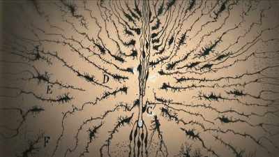 {\an7}But we didn't know
how they fit together, - Mysteries of Mental Illness
