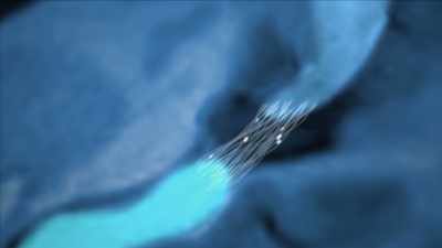 {\an7}So, in a sense, you can think
about - Mysteries of Mental Illness