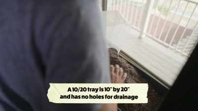 {\an8}And you could get
germination soil at a nursery. - What Am I Eating? With Zooey Deschanel