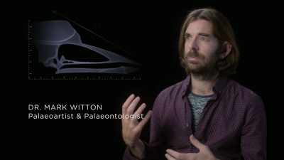 {\an8}And to try and describe - Prehistoric Planet