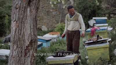 {\An8}Bring here.
I'll cut it here. - Honeyland