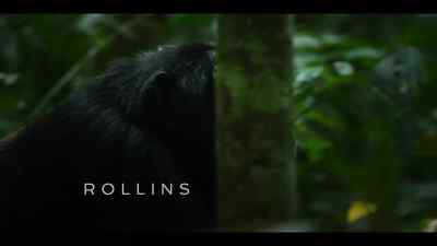 {\an8}But it's worth the risk. - Chimp Empire