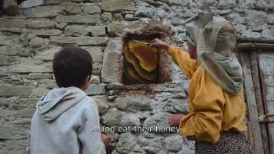 {\an8}... come to my bees...
...and eat their honey. - Honeyland