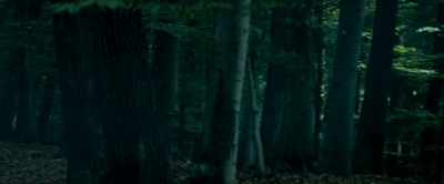{\an8}[crows cawing] - The Strangers: Chapter 1