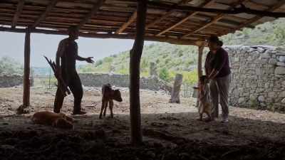 {\An8}Do you understand?
Fifty died! - Honeyland