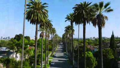 {\an8}♪ Don't hold it inside
Go ahead and throw your back out ♪ - Buying Beverly Hills