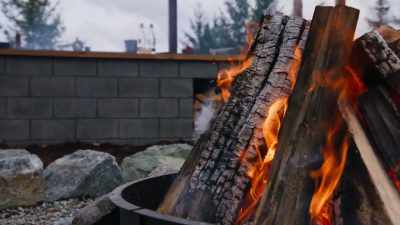 {\an8}Everything that you need to
make incredible food with fire - Chefs vs Wild