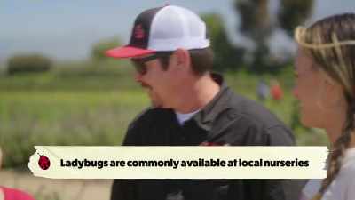 {\an8}For your home garden,
if you've got aphids, - What Am I Eating? With Zooey Deschanel