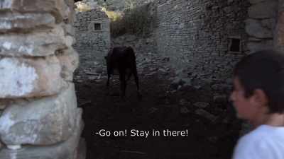 {\An8}Go on! Stay in there! - Honeyland
