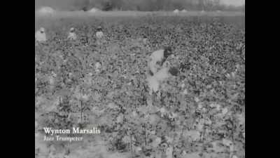 {\an8}He understood that there was
a battle in this country, - Louis Armstrong's Black & Blues