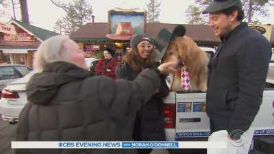 {\an8}He's won
three consecutive elections - Inside the Mind of a Dog