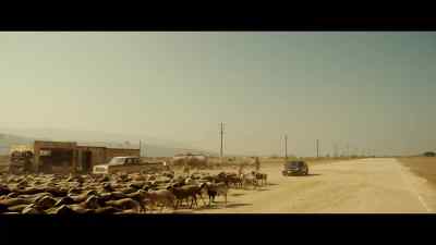 {\an8} [horse whinnying] - The Man Who Fell to Earth