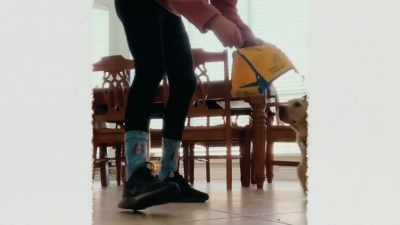 {\an8}How to be a good dog. - Inside the Mind of a Dog