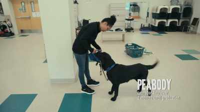 {\an8}It pays
to let your dog be themselves. - Inside the Mind of a Dog
