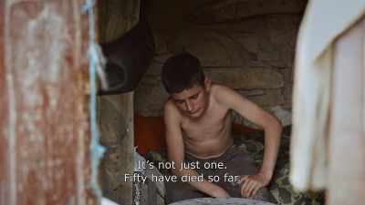 {\An8}It's not just one.
50 have died so far. - Honeyland
