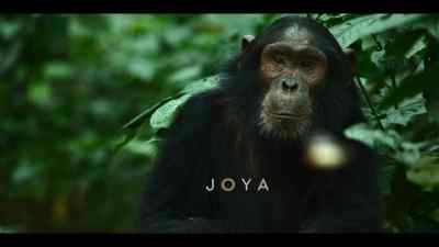 {\an8}Joya is also an orphan. - Chimp Empire