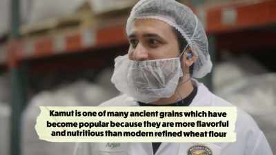 {\an8}Kamut it's... it's an ancient
form of wheat, - What Am I Eating? With Zooey Deschanel