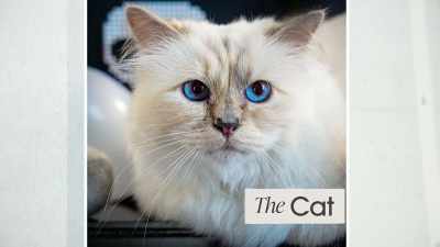 {\an8}LE CHAT - The Mysterious Mr. Lagerfeld