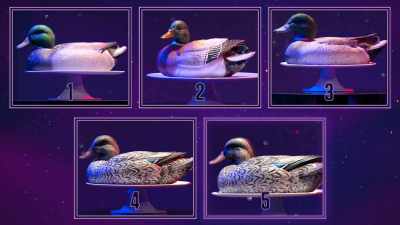 {\an8}[Mikey] All right, judges.
You picked Number Five. - Is It Cake?