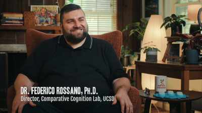 {\an8}Now researchers
are studying to see - Inside the Mind of a Dog