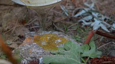 {\An8}One half fo me, one half for you. - Honeyland