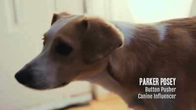 {\an8}Parker's two and a half years old, - Inside the Mind of a Dog