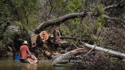 {\An8}Pull! Faster!
Don't let them drown. - Honeyland