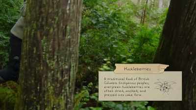 {\an8}Really excited to find
huckleberries today. - Chefs vs Wild