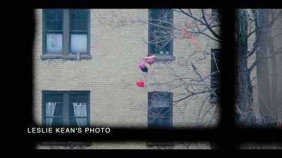 {\an8}Right outside my window,
in the tree branches, - Surviving Death