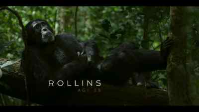 {\an8}Rollins is the west's patrol leader. - Chimp Empire
