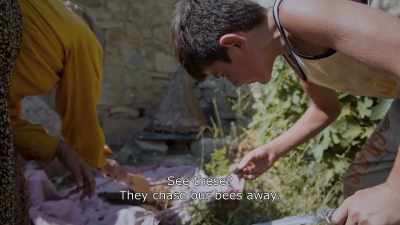 {\An8}See these?
They chase our bees away. - Honeyland