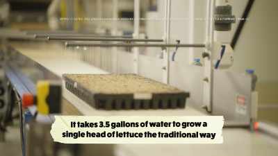 {\an8}So agriculture accounts
for about 70% - What Am I Eating? With Zooey Deschanel