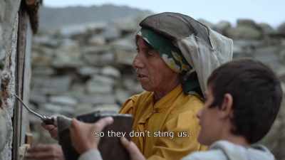 {\An8}So they don't sting us. - Honeyland