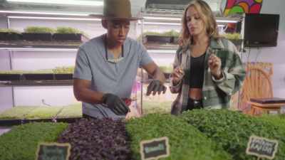 {\an8}So one ounce of broccoli
microgreens is equivalent - What Am I Eating? With Zooey Deschanel