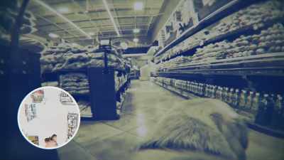 {\an8}Supermarkets are
very tempting, challenging places - Inside the Mind of a Dog