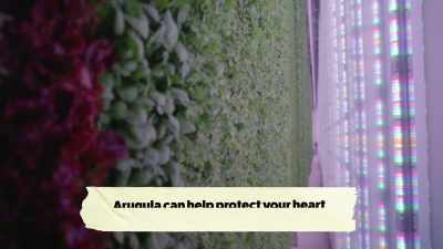 {\an8}That same arugula variety - What Am I Eating? With Zooey Deschanel