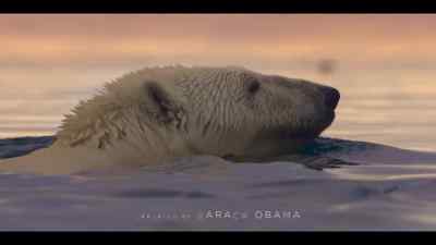 {\an8}The top predator
in the world's fastest-changing ocean. - Our Oceans