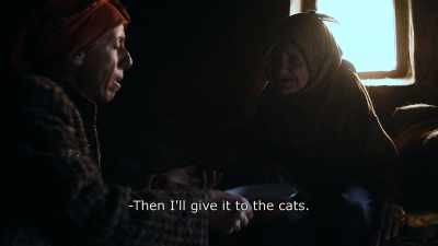 {\An8}Then I'll give it to the cats. - Honeyland