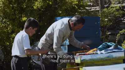 {\An8}There no dung in it.
- Yes, there is. - Honeyland