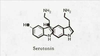 {\an8}This similarity, along with - Mysteries of Mental Illness