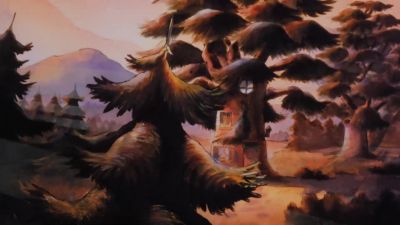 An8 This is the Evergreen forest - The Raccoons