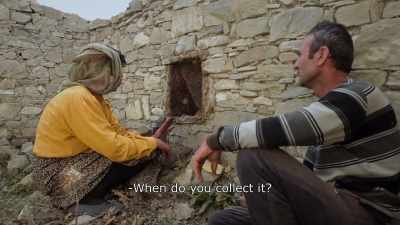 {\An8}This year in
September or October. - Honeyland